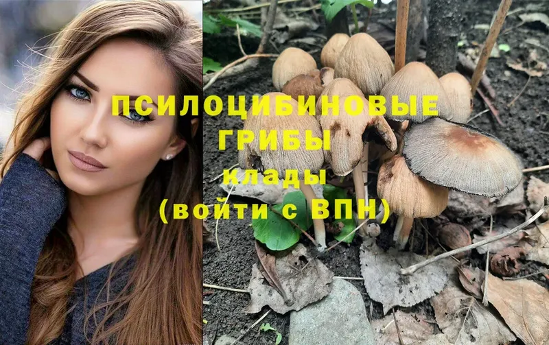 Псилоцибиновые грибы Psilocybine cubensis  Дорогобуж 